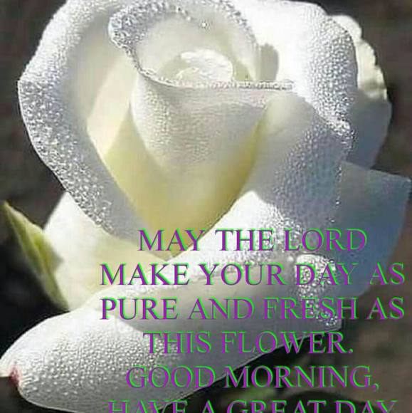 Meet your Posher, Yaks - Picture 1 of 1